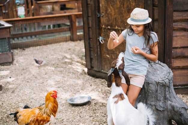 mini ferma na dache kuryatnik kroliki i teplitsi