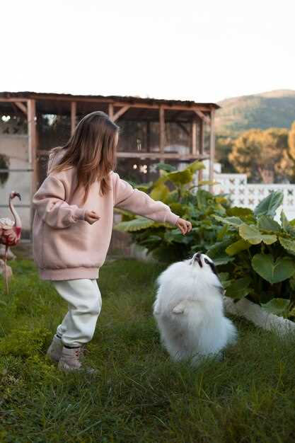 mini ferma na dache kuryatnik kroliki i teplitsi