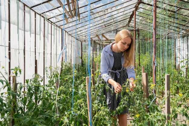 teplitsa na dache vibor materialov i formi